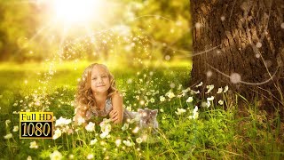 Any Dream Will Do | Andrew Lloyd Webber, Jason Donovan | Lyrics | FULL HD