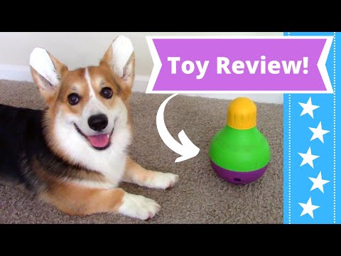 Starmark Bob-A-Lot Interactive Pet Toy