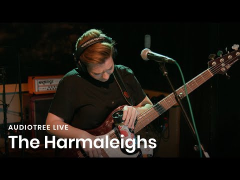 The Harmaleighs - Anthem for the Weak | Audiotree Live