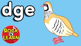 DGE Ending Sound Song - Phonics for Kids - Rock &#39;N Learn