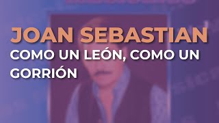 Joan Sebastian - Como un León, Como un Gorrión (Audio Oficial)