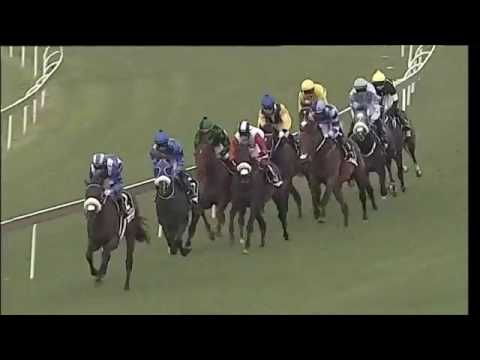 2017.03.04 Gauteng Guineas - Janoob