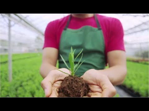 Tecnologie Agricole: evoluzione delle serre