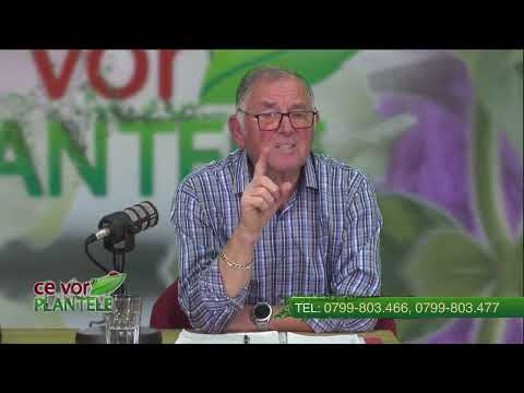 The glue for fruit trees Cristina Ghibu and Horia Ghibu