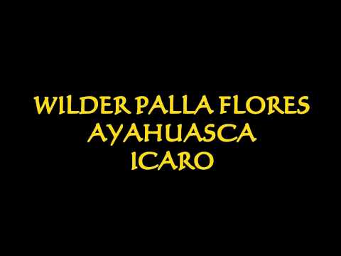 WILDER PALLA FLORES - AYAHUASCA ICARO