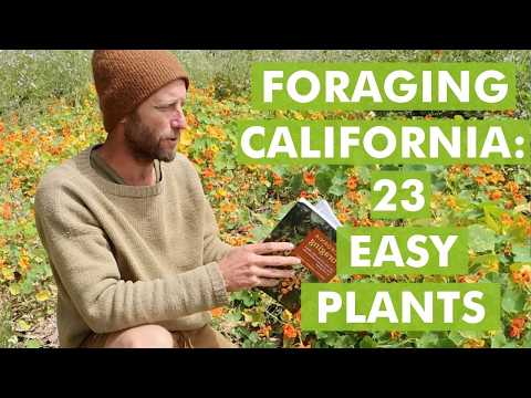 23 Easy Plants for Beginner Foragers in California video thumbnail