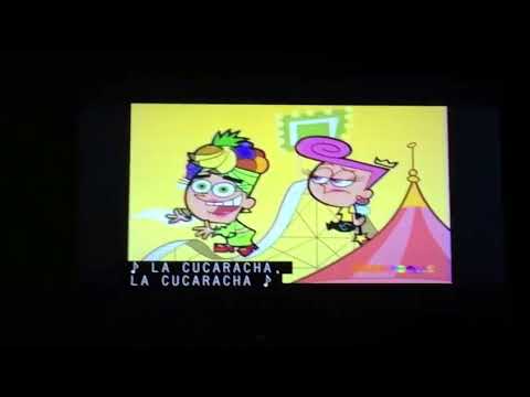 Cosmo dressed up like Carmen Miranda