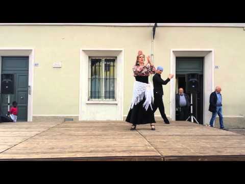 Antonio Spinelli - Sevillana -Festival dei Popoli - 2015