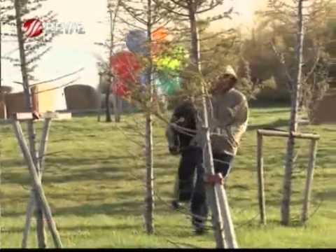 AZPhotography’s Video 10044047826 7MRyP5FuNXc