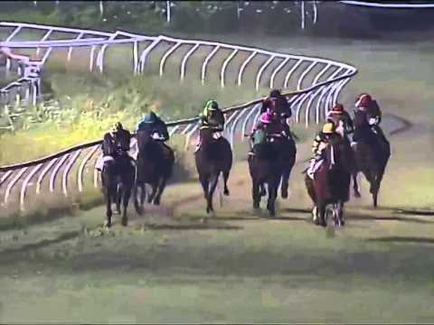 Galoppo 19/07/2014 - Corsa 4