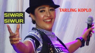Download lagu Tarling Koplo | SIWAR SIWUR ~ Tonisah mp3
