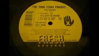 THE TODD TERRY PROJECT (ITS JUST IN HOUSE)  DUBS