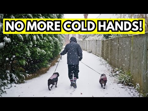 4 Ways to Reward Your Dog on Cold Walks WITHOUT Freezing Your Hands