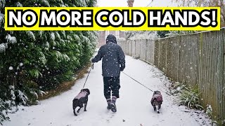4 Ways to Reward Your Dog on Cold Walks WITHOUT Freezing Your Hands