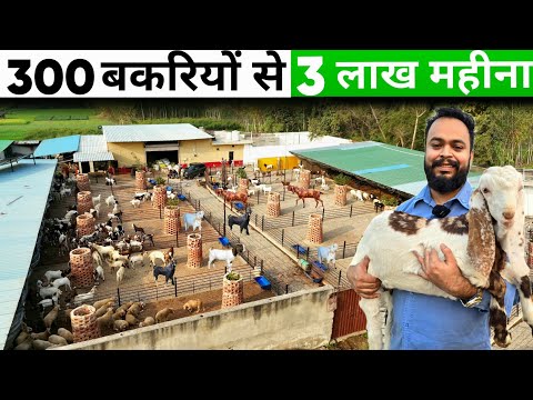 ऐसा शानदार बकरी फार्म नहीं देखा होगा | Goat farming A to Z जानकारी