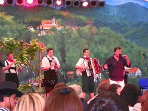 Ausswinkl Muzikanti feat. Darko Domijan - Strina Bara