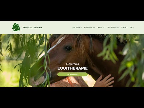 mercado latino website