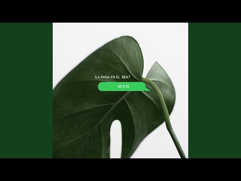 MSN (feat. The Magazine)