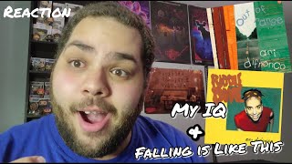 Ani DiFranco - Falling Is Like This and My IQ |REACTION| First Listen