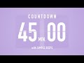 45 Min Countdown Flip Clock Timer / Simple Beeps 🫐 🔔
