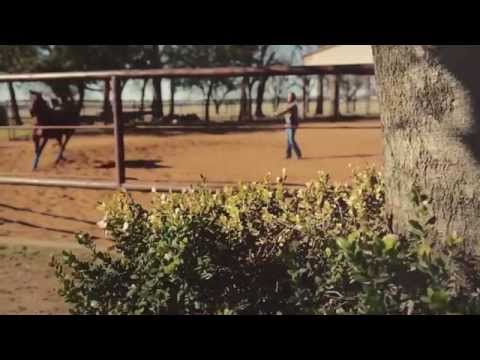 2014 NRHA Futurity Daily Diary #2