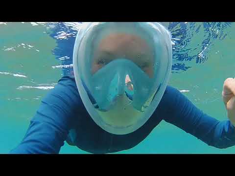 Snorkeling at Playa Chica, Puerto del Carmen, Lanzarote 09/11/2020