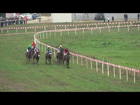 Cazin - Trogodci KK Cazin - 1800m -27.9.2025 - Eddy the Eagle
