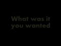 Willie Nelson - What Was It You Wanted (Lyrics)