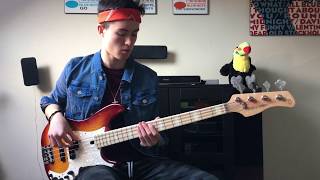 Video thumbnail for La Bella White Nylon Tapewound Bass Strings Demo by Adam R