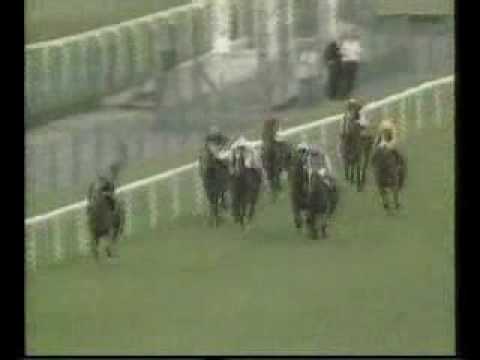 1991 King George - Generous