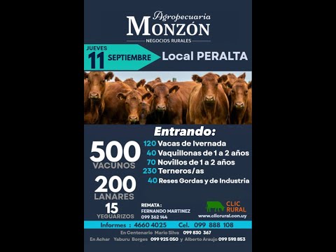 11/9/2025 Local Peralta - Tacuarembó - Feria Mensual - Agropecuaria Monzon