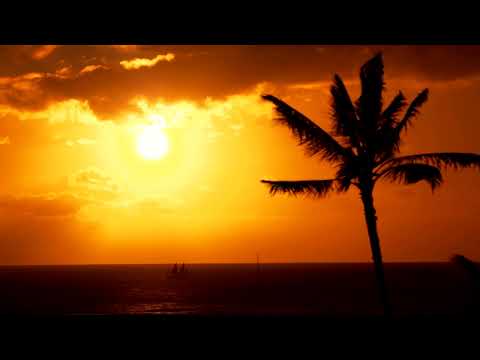 Saintmartin - Sunset beach relax music - Music for tiktok,shorts.reels