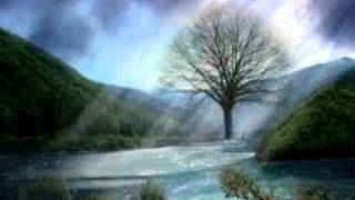 Alphaville The voyager 1986