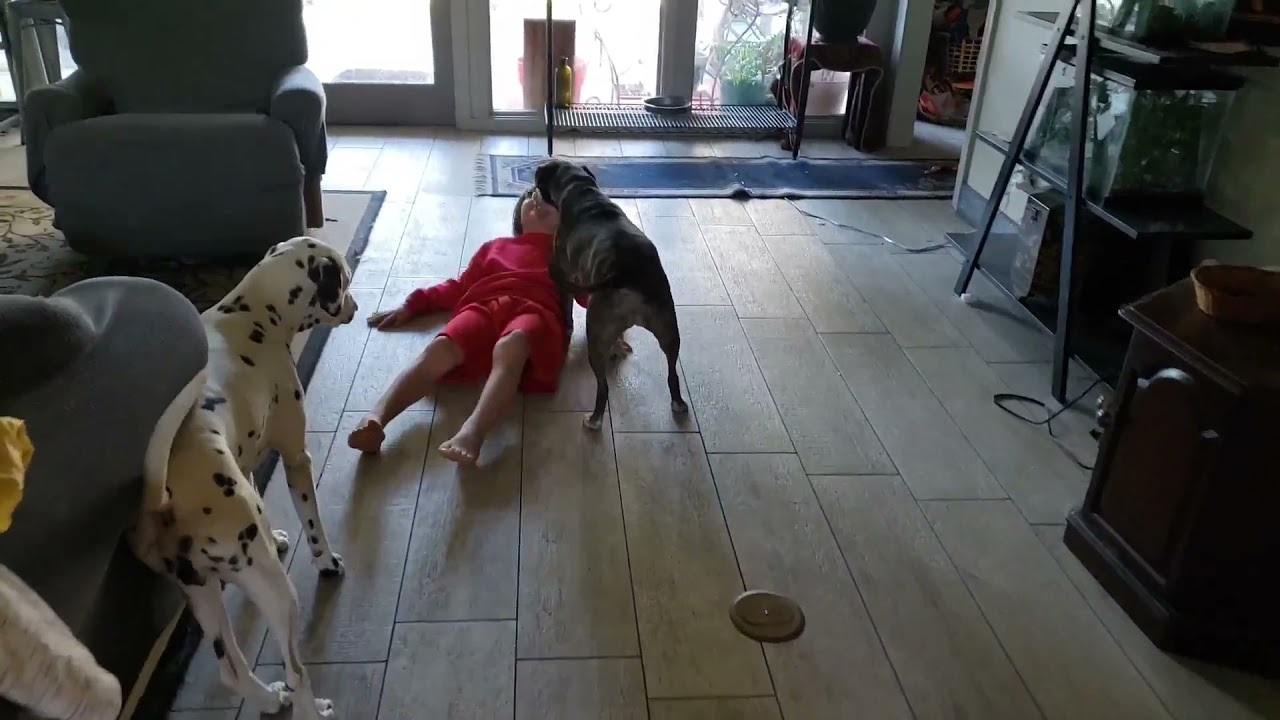 YouTube video preview