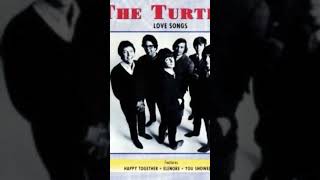CAN I GET TO KNOW YOU BETTER  #theturtles #music