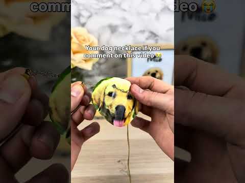 The 4th one got me 😭🐾❤️ #pets #dogs #dogsoftiktok #dogloss #giftsideas