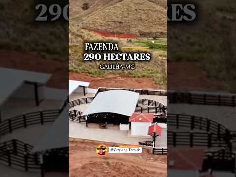 FAZENDA 290 HECTARES GALILÉIA-MG R$ 10 MILHÕES