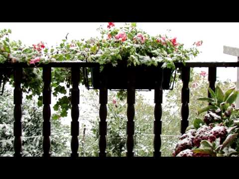 TREZZONE 28 Ottobre 2012