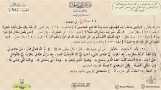 شرح رياض الصالحين : الحديث (95) باب في المجاهدة || د. ماهر ياسين الفحل image