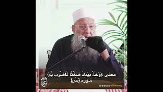 صورة معنى قوله تعالى : {وَخُذْ بِيَدِكَ ضِغْثًا فَاضْرِب بِّهِ} | للشيخ الحويني