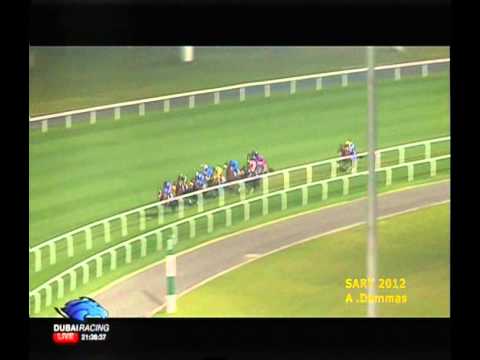 MAHBOOBA   Al Rashidiya Trial 2012   SARY