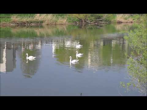 Les Boucles de la Moselle - Parcours Tomblaine/Champigneulles