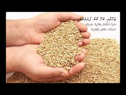 zakaai 01 dharus sheik Mohamed Ibrahim (naifaru)