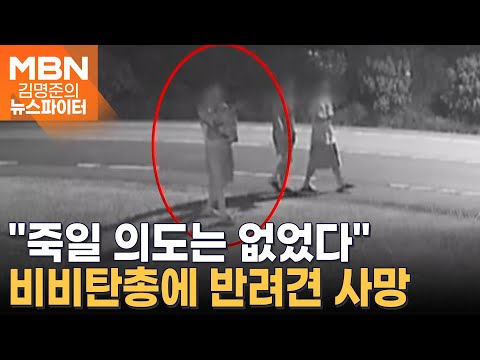 비비탄 수백 발에 죽은 반려견…범인은 휴가 나온 군인이었다 - 김명준의 뉴스파이터
