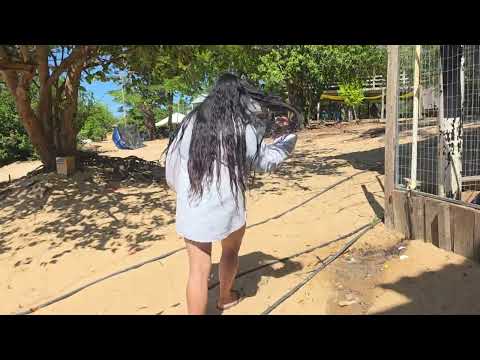 ILHA DOS PORCOS,SÃO FELIX DO XINGU-PARÁ. 
