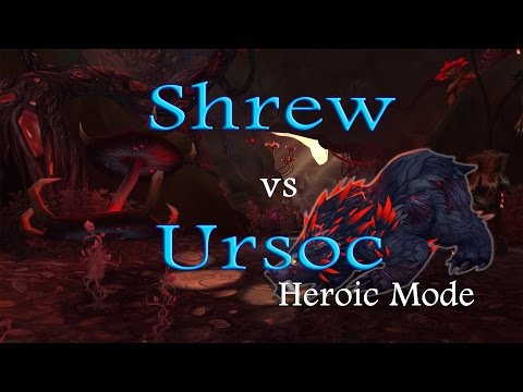 Ursoc (Heroic Mode) - Shadow Priest PoV (Shrew)