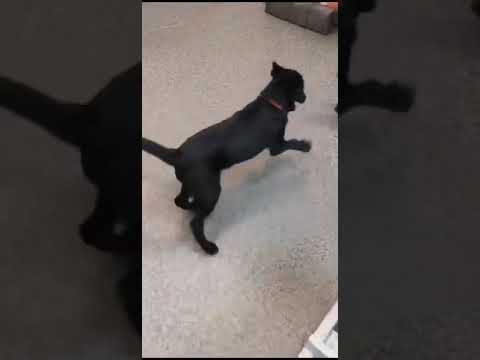 MIRUNA + MIRUN - Dezember 2023