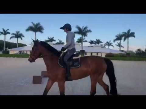 The Madden Method - Beezie teaches a lesson