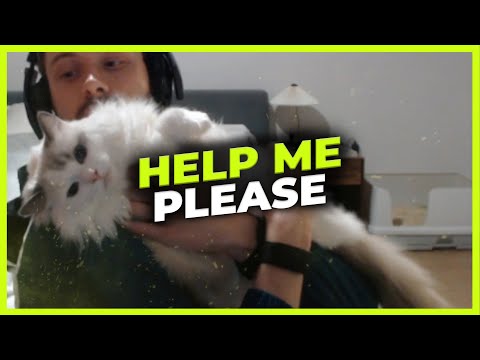 Bjergsen's cat wants to escape
