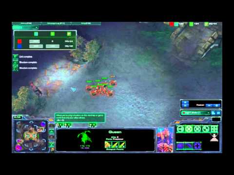 ZvZ LagTTJEcho vs MasterAsia Slag pit